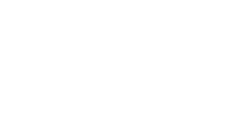 Logo for the DC Homeowners Assistance Fund